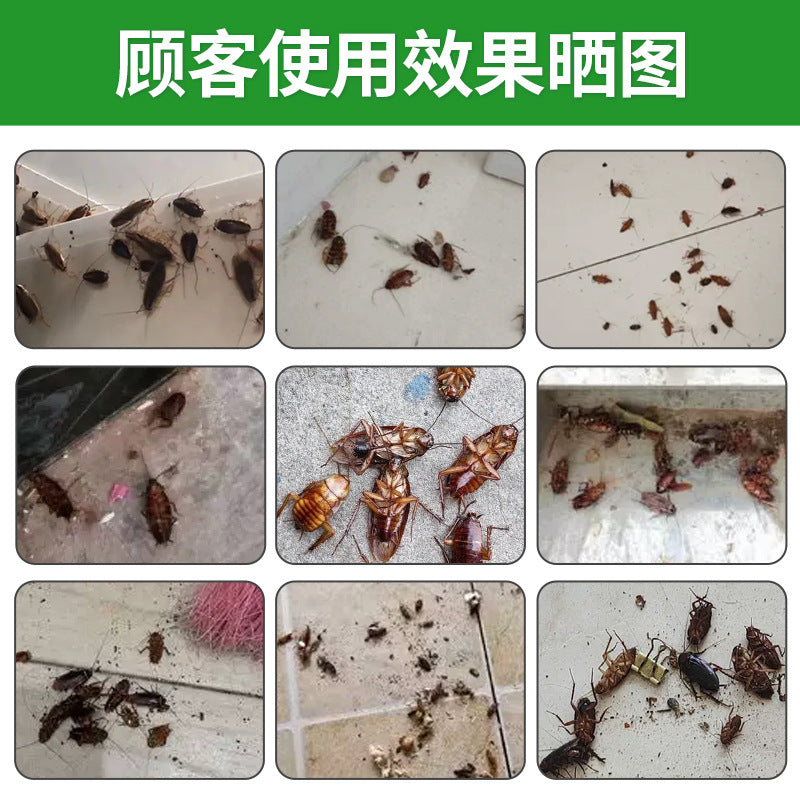 50/30/20/10 PACK Cockroach Powder, Cockroach-Killing Bait, Cockroach-Killing Artifact Bait, Convenient One-Piece Dropshipping Powder, Household Portable Package