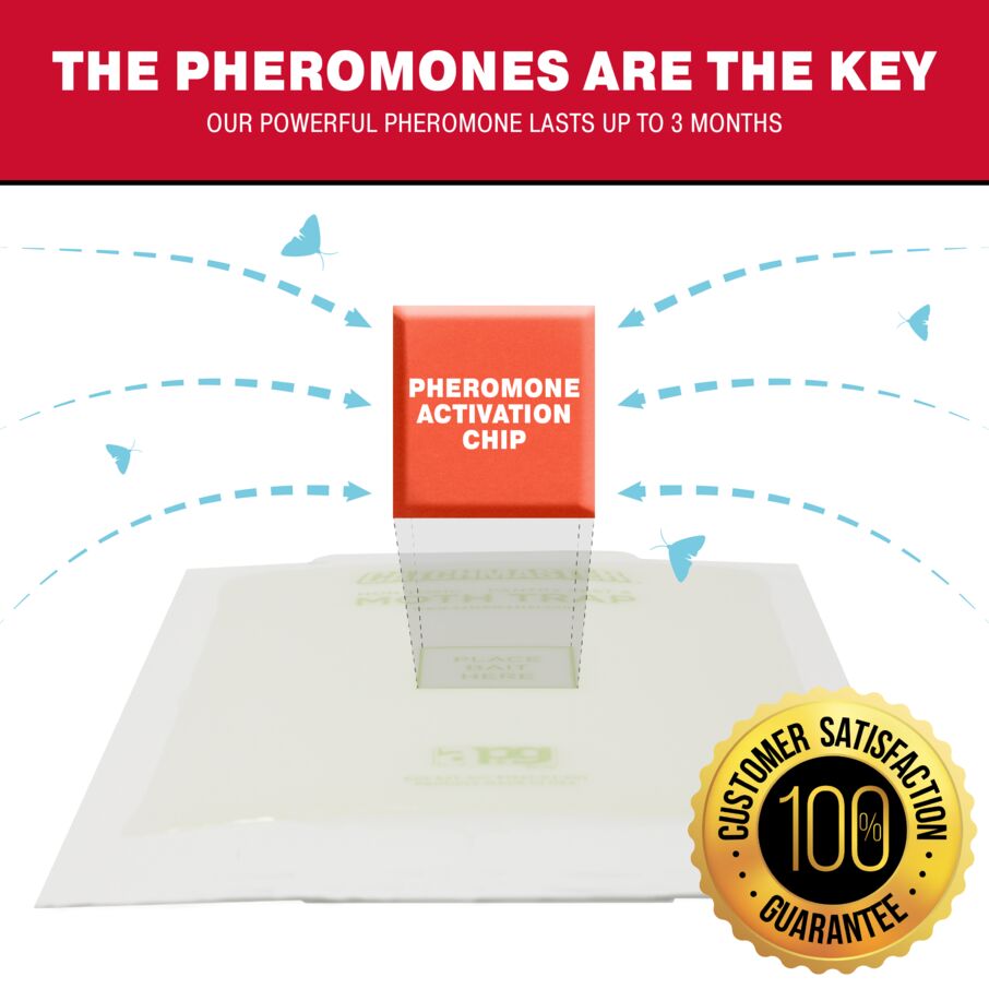 Pantry Pest & Moth Pheromone Infused Glue Board Traps