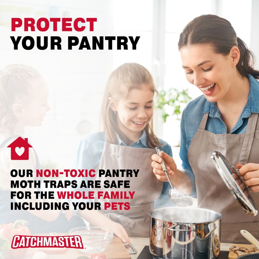 Pantry Pest & Moth Pheromone Infused Glue Board Traps