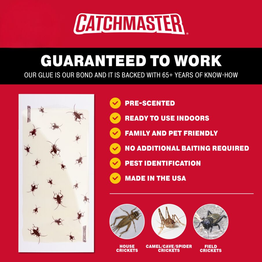 Cricket XL Glue Board Traps