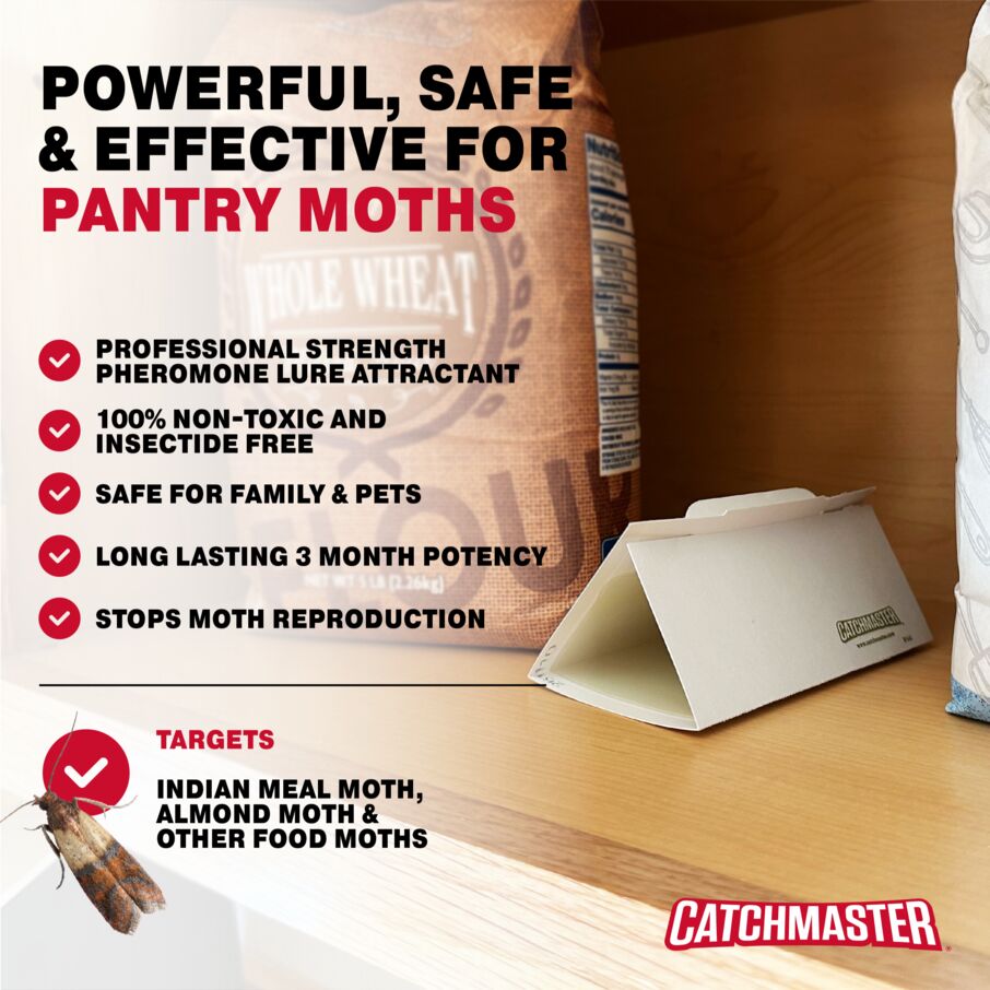 Pantry Pest & Moth Pheromone Infused Glue Board Traps