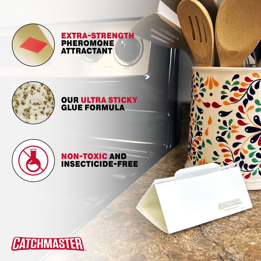 Pantry Pest & Moth Pheromone Infused Glue Board Traps