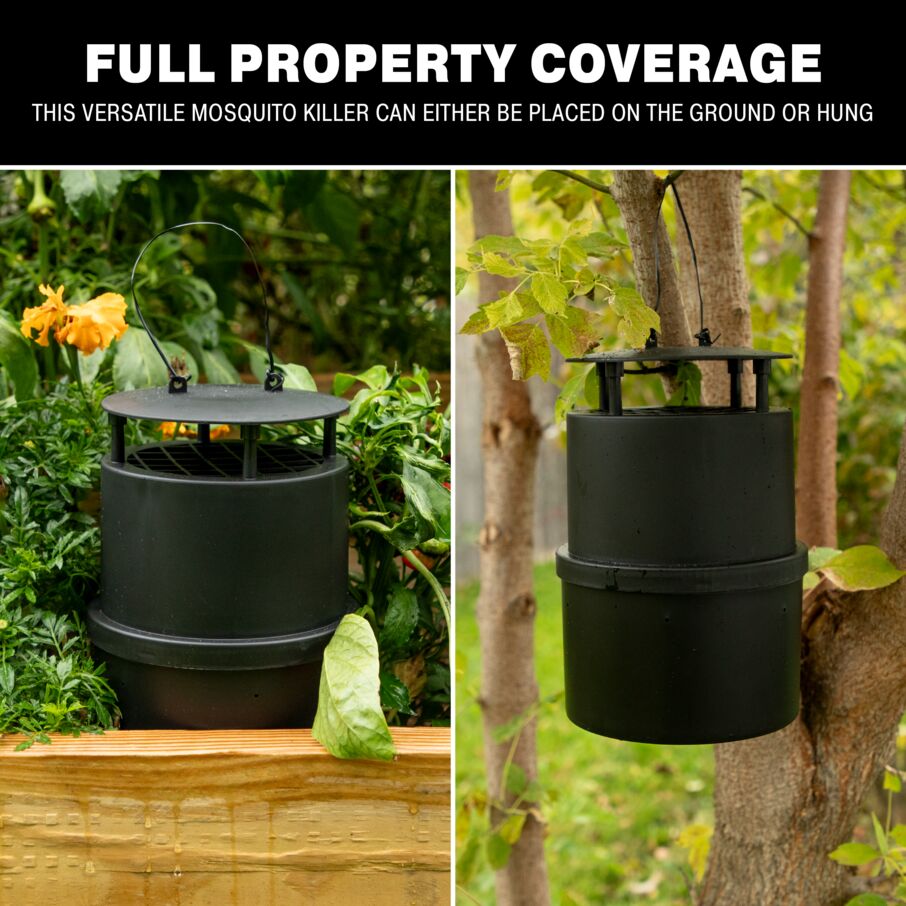 Oasis Ovi-Mini Mosquito Trap – 4 Count