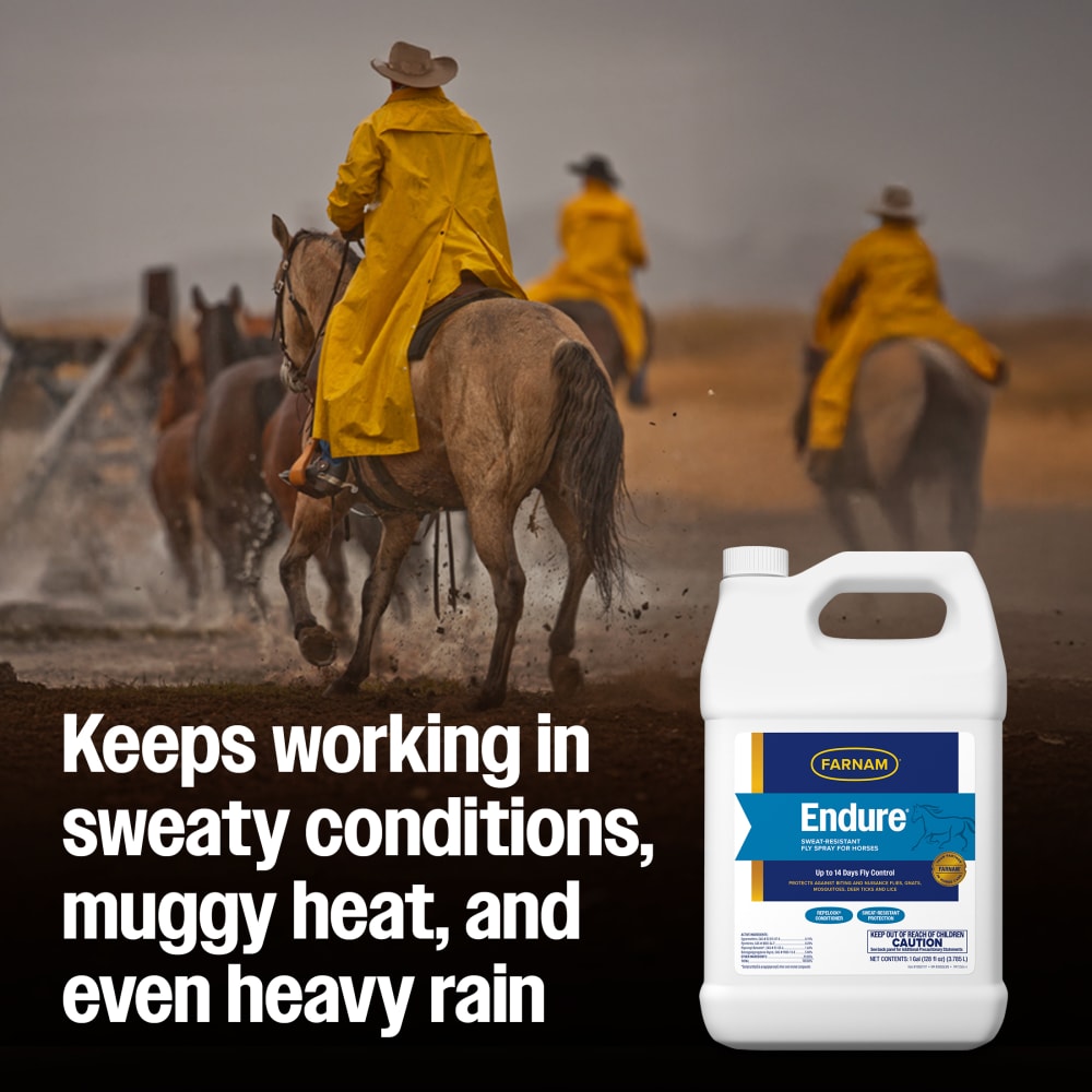 Farnam Endure Sweat-Resistant Fly Spray for Horses – Gallon