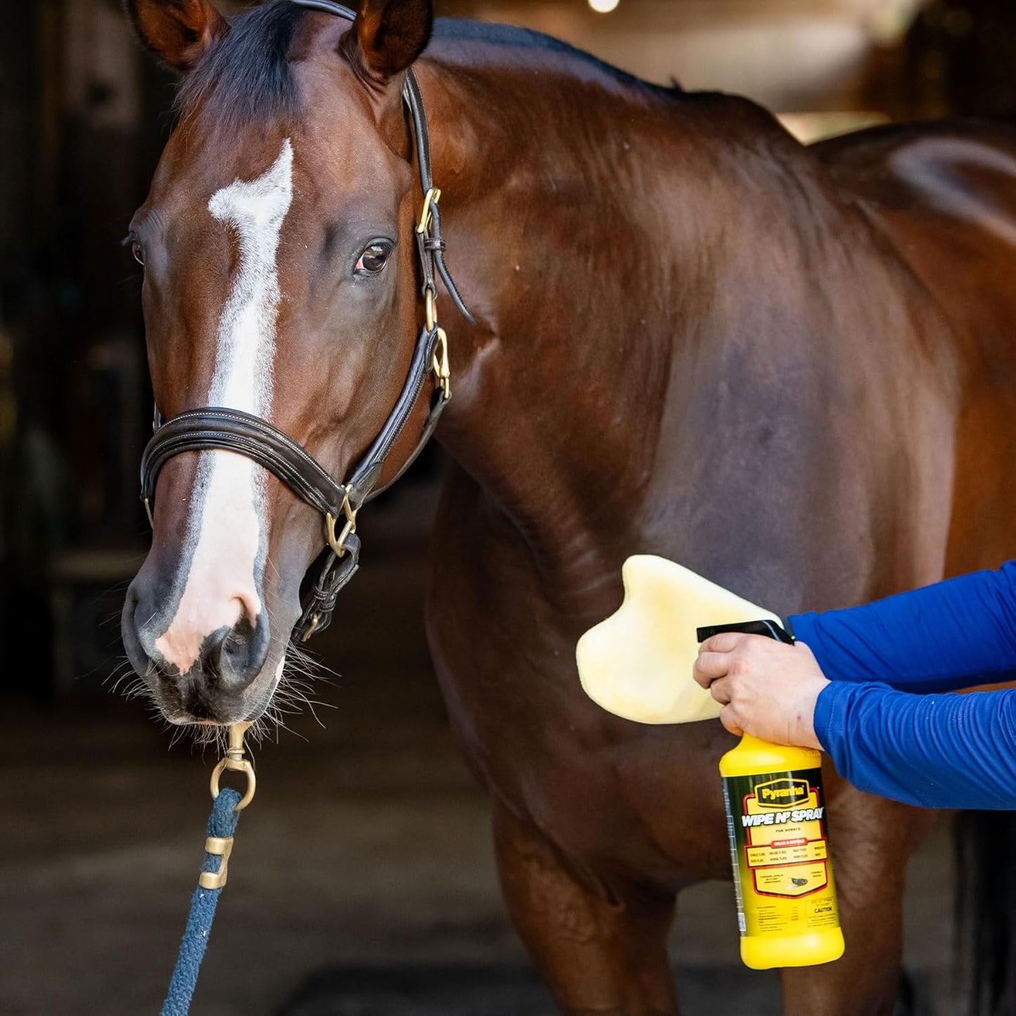 Pyranha Wipe N Spray Fly Repellent for Horses 32 oz.