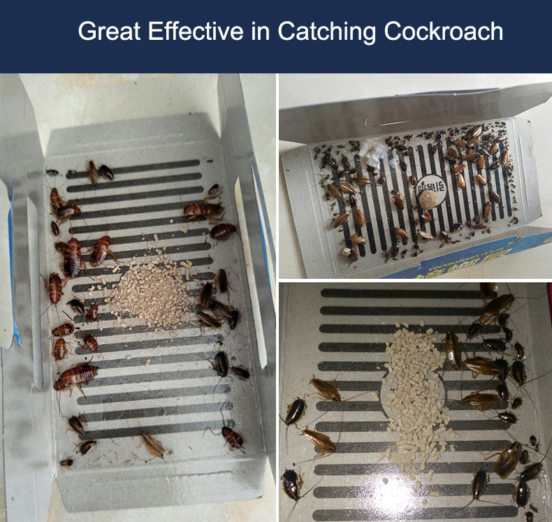 cock roach, cockroach killer, cockroach trap, roach traps, cockroach bait, roaches in house, cockroach in house, cockroach poison, roaches in home, sticky pads for roaches, cockroach cleaning, bait for roaches, cockroach sticky trap, get roaches out of house, cockroach pictures, cockroach sticky pads, cockroach images, cockroach house trap, sticky trap for roaches, cockroach clean, cockroach at home, household roaches, cockroach products, cockroach trap house, lure out cockroach, good way to get rid of roac