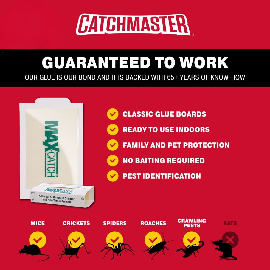 Max-Catch Glue Traps – Sticky Mouse Traps & Glue Boards for Mice, Rats & Roaches Catchmaster
