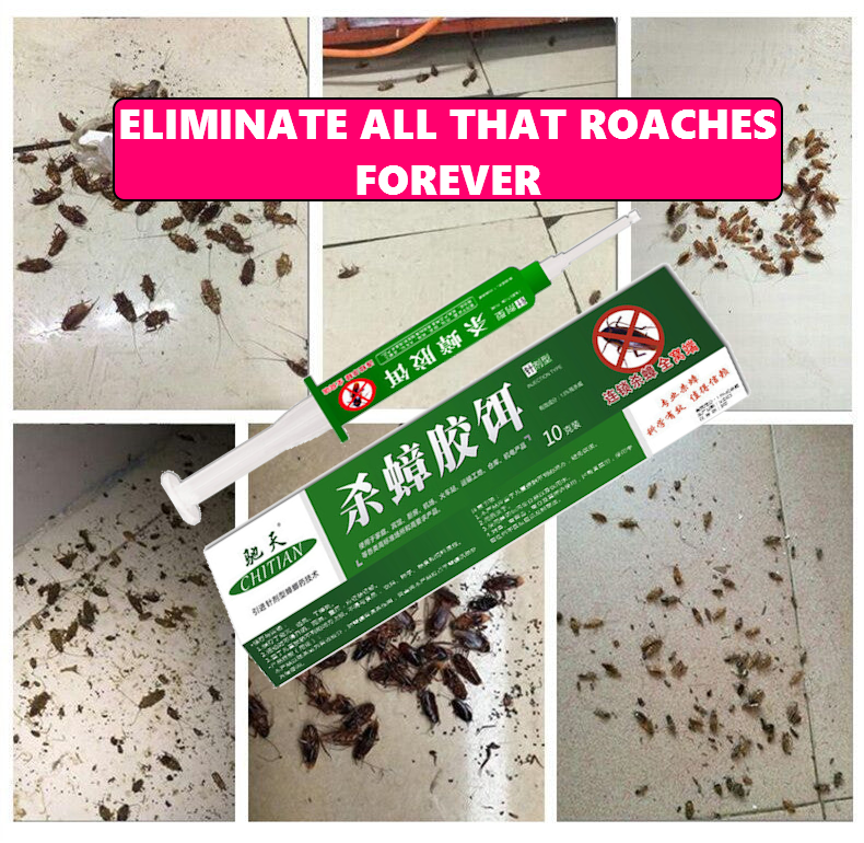 syringe roach killer, roach gel bait, roach killer gel, best roach gel, german roach gel bait, roach syringe, cockroach syringe, best roach gel killer, best gel roach killer, german roach gel, cock roach gel, roach killer bait gel, roach cockroach gel, roach bait syringe, best roach gel bait, gel bait roach killer, cockroach gel syringe, roach gel bait, roach killer gel, best roach gel, german roach gel bait, roach cockroach, cockroach cockroaches, cockroach killer, roach killer, german cockroach, german ro