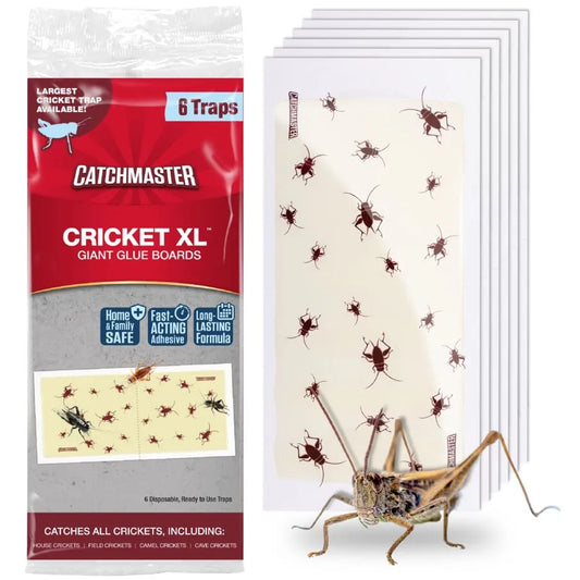 Cricket XL Glue Board Traps