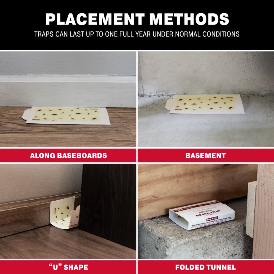 Roach Trap Glue Boards – Cockroach Sticky Traps & Glue Boards for Roaches Catchmaster