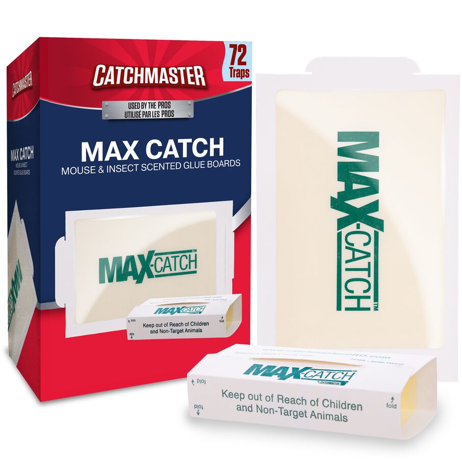 Max-Catch Glue Traps – Sticky Mouse Traps & Glue Boards for Mice, Rats & Roaches Catchmaster 72 Count