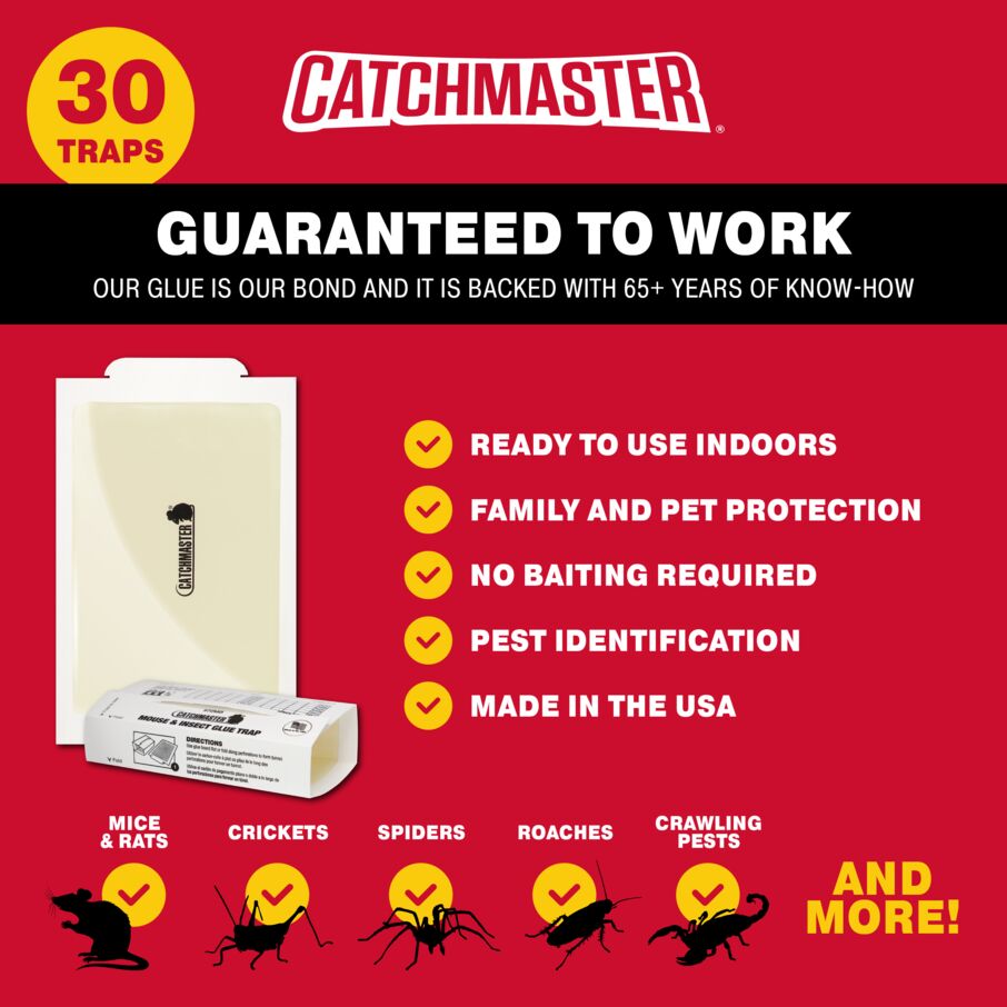 30 Count Catchmaster Mouse & Insect Super Glue Traps