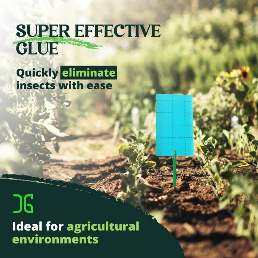 72 Count Catchmaster Blue Sticky Insect Traps – Double-Sided 3×5"