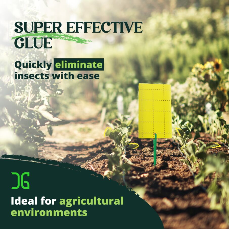 Catchmaster Yellow Sticky Insect Traps – Double-Sided Cards 36 or 72 Count