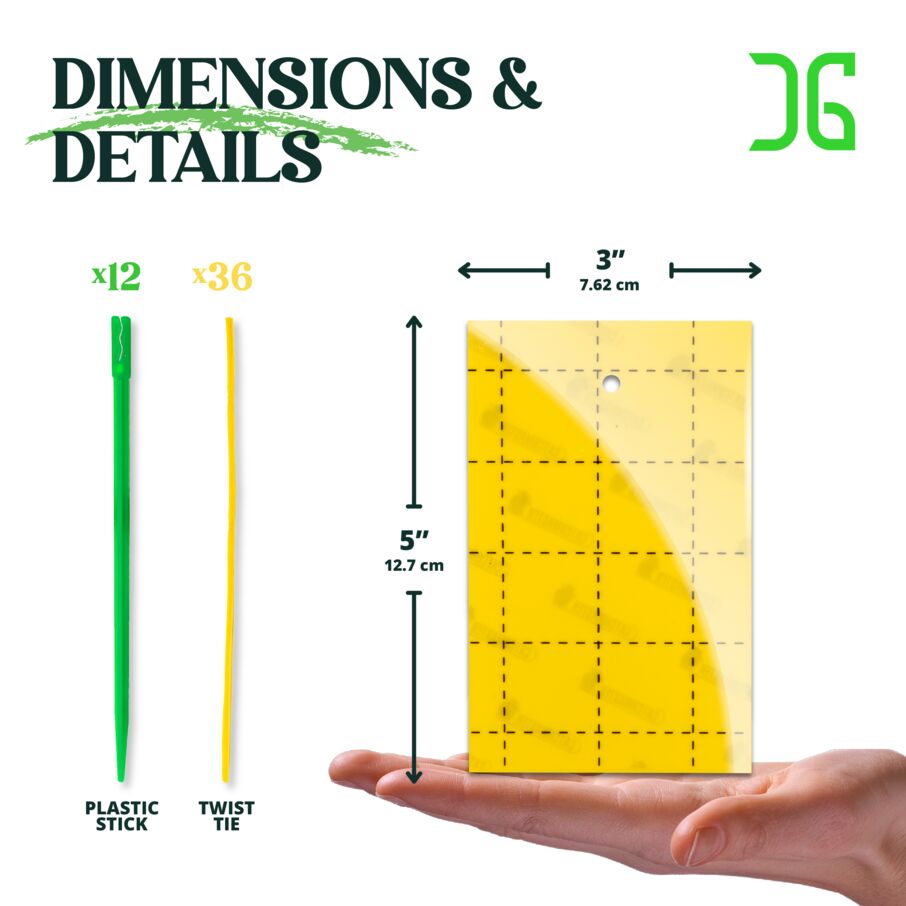 Catchmaster Yellow Sticky Insect Traps – Double-Sided Cards 36 or 72 Count