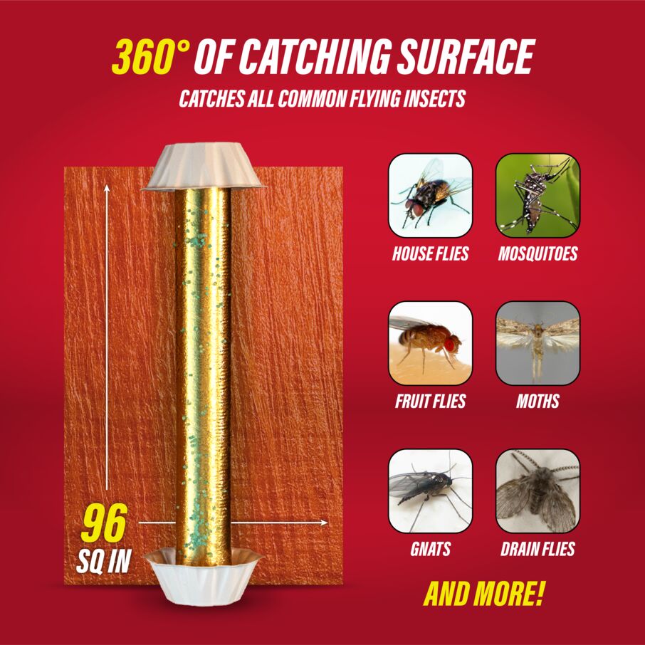 Gold Stick Fly Sticky Traps with Attractant – 4 Count