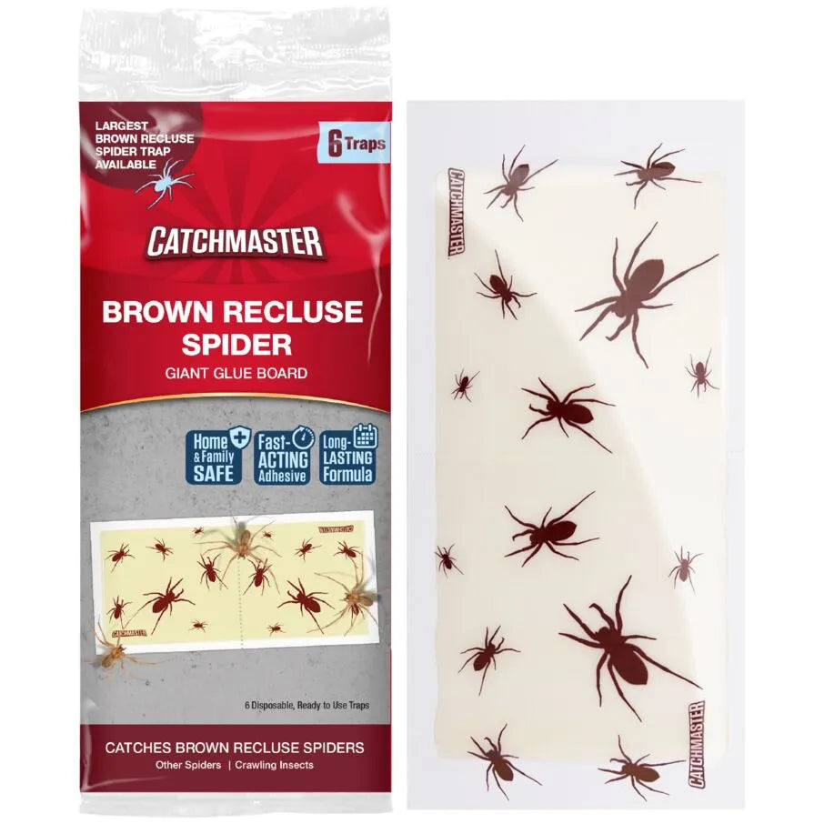 Brown Recluse Spider Glue Traps