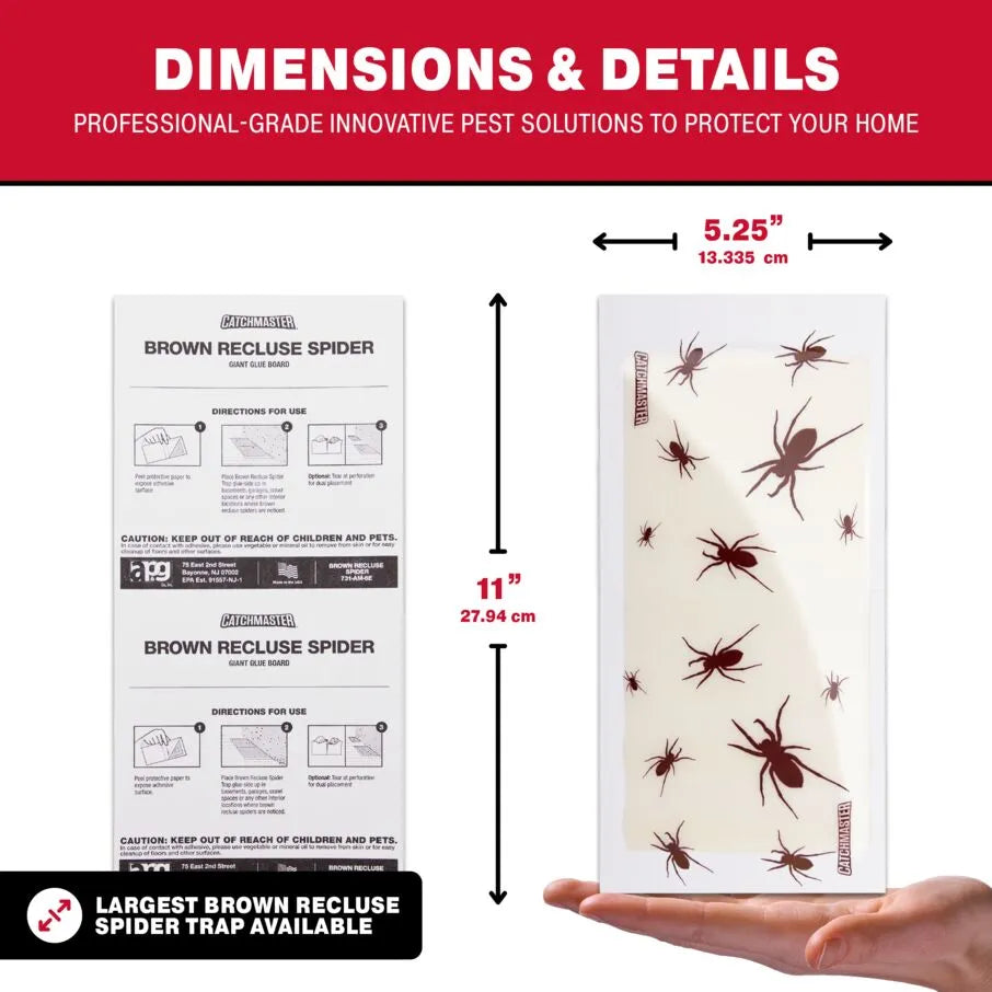 Brown Recluse Spider Glue Traps