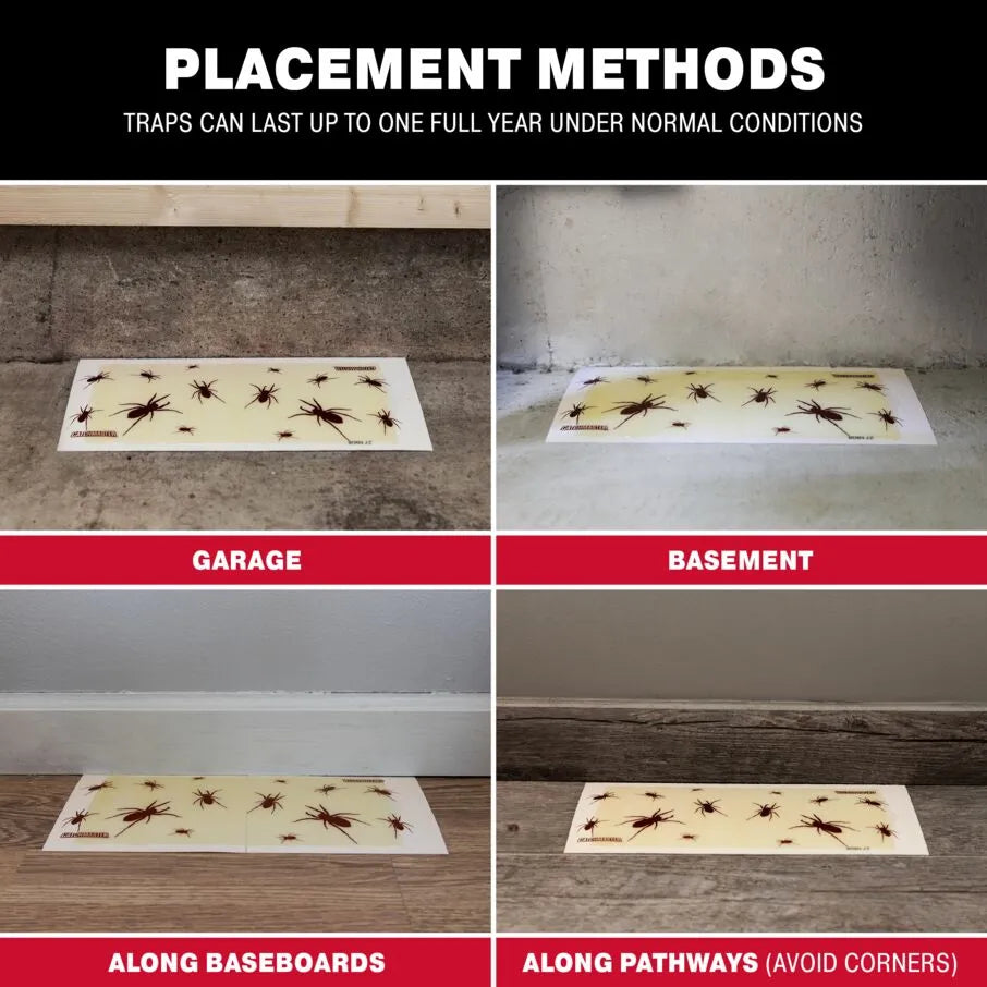 Brown Recluse Spider Glue Traps