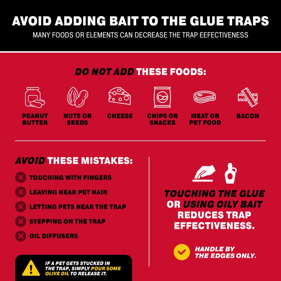 Max-Catch Glue Traps – Sticky Mouse Traps & Glue Boards for Mice, Rats & Roaches Catchmaster