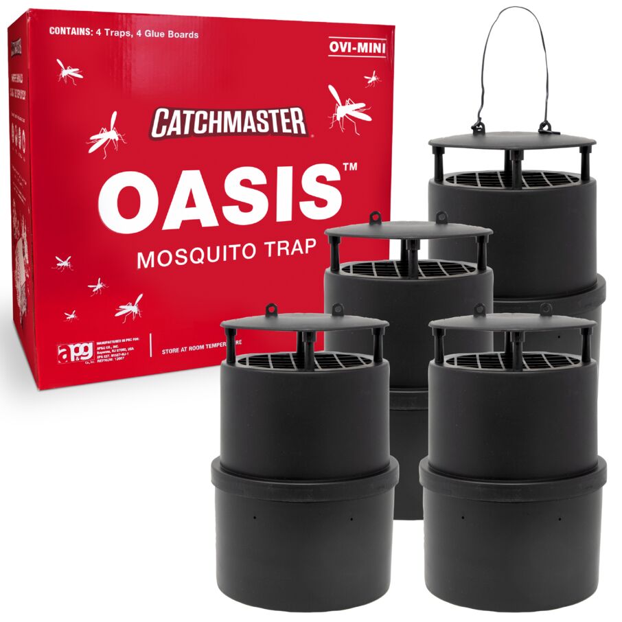 Oasis Ovi-Mini Mosquito Trap – 4 Count