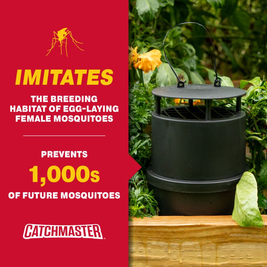 Oasis Ovi-Mini Mosquito Trap – 4 Count