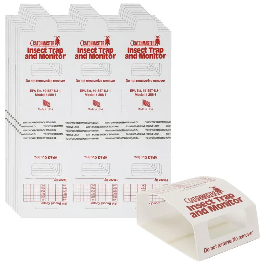Catchmaster brown recluse spider glue traps for effective pest monitoring and control indoors