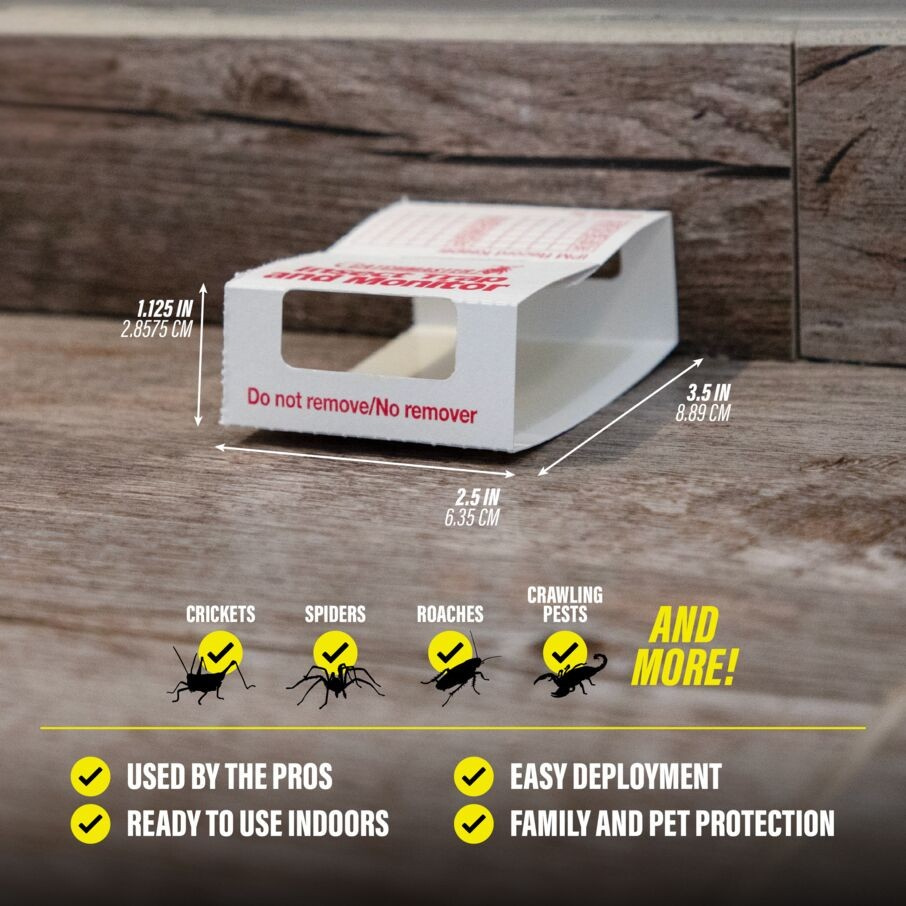 Catchmaster brown recluse spider glue traps for effective indoor pest control and easy deployment