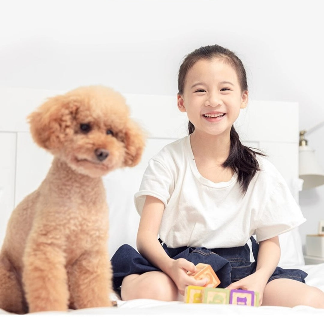 Smiling girl playing with blocks beside a dog in a bright room, highlighting a cozy home environment