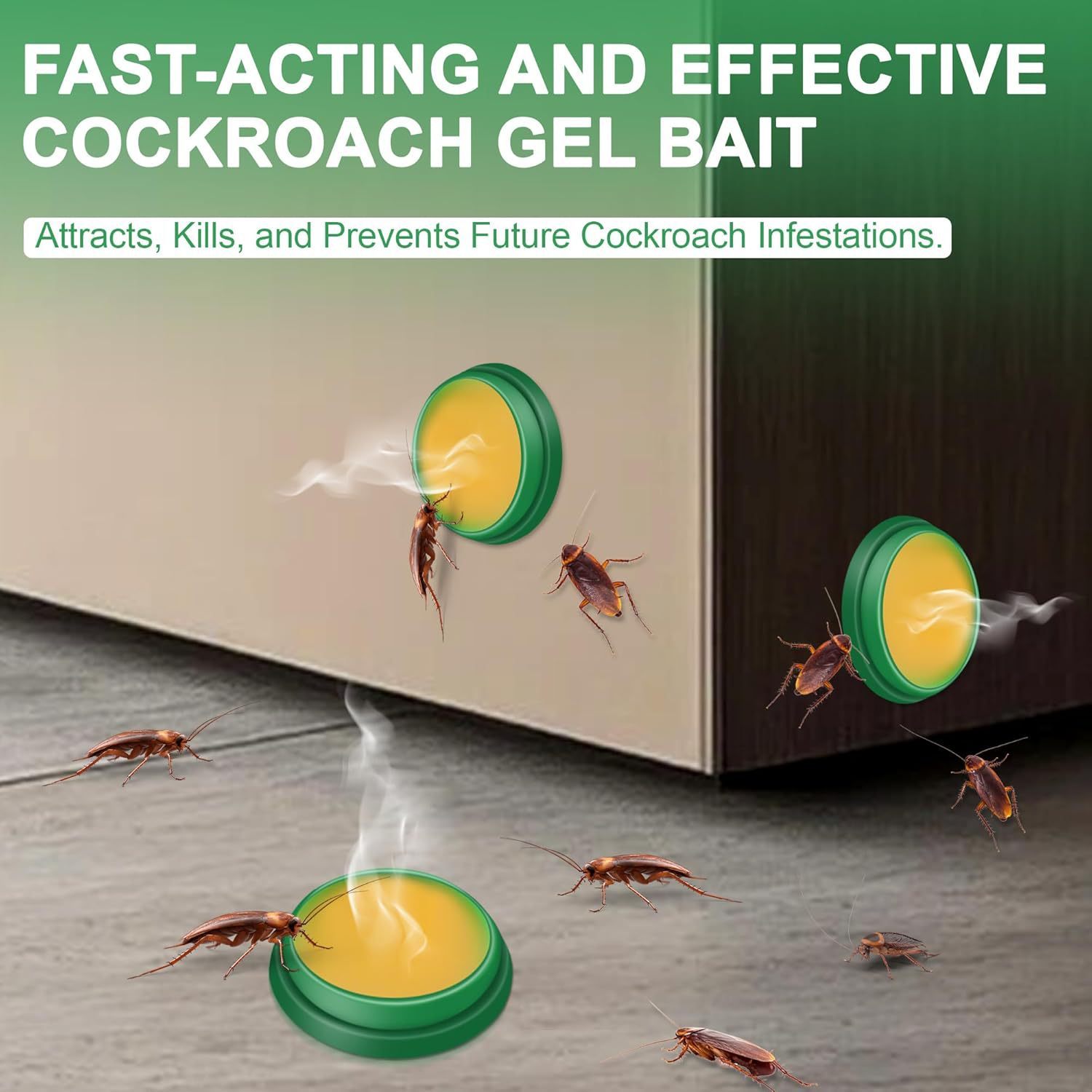 Fast-acting SHINEBOX Cockroach Killer Sticker attracts and kills cockroaches effectively