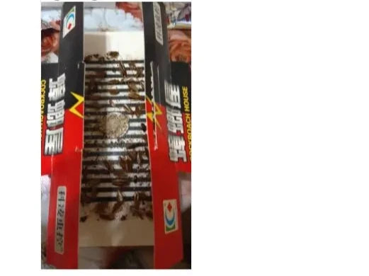 SHINEBOX Cockroach Sticky Glue Traps with effective adhesive for catching roaches