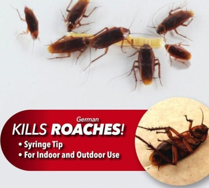 doctor roach gel 30g in syringe for effective indoor and outdoor roach control. Roach Doctor Cockroach Killing Gel