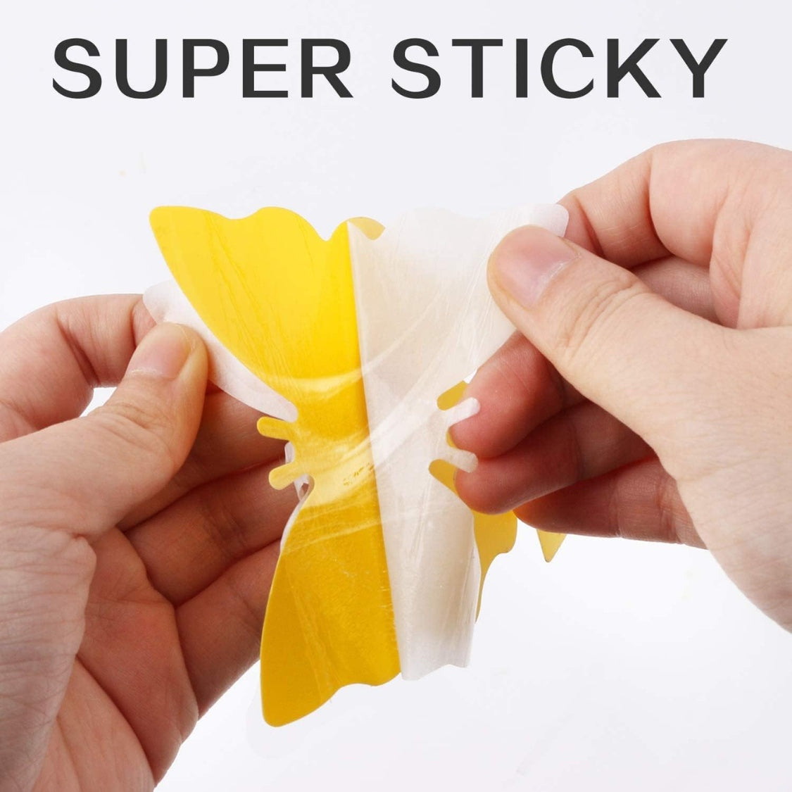SHINEBOXX fly and fruit fly trap with super sticky adhesive for effective pest control