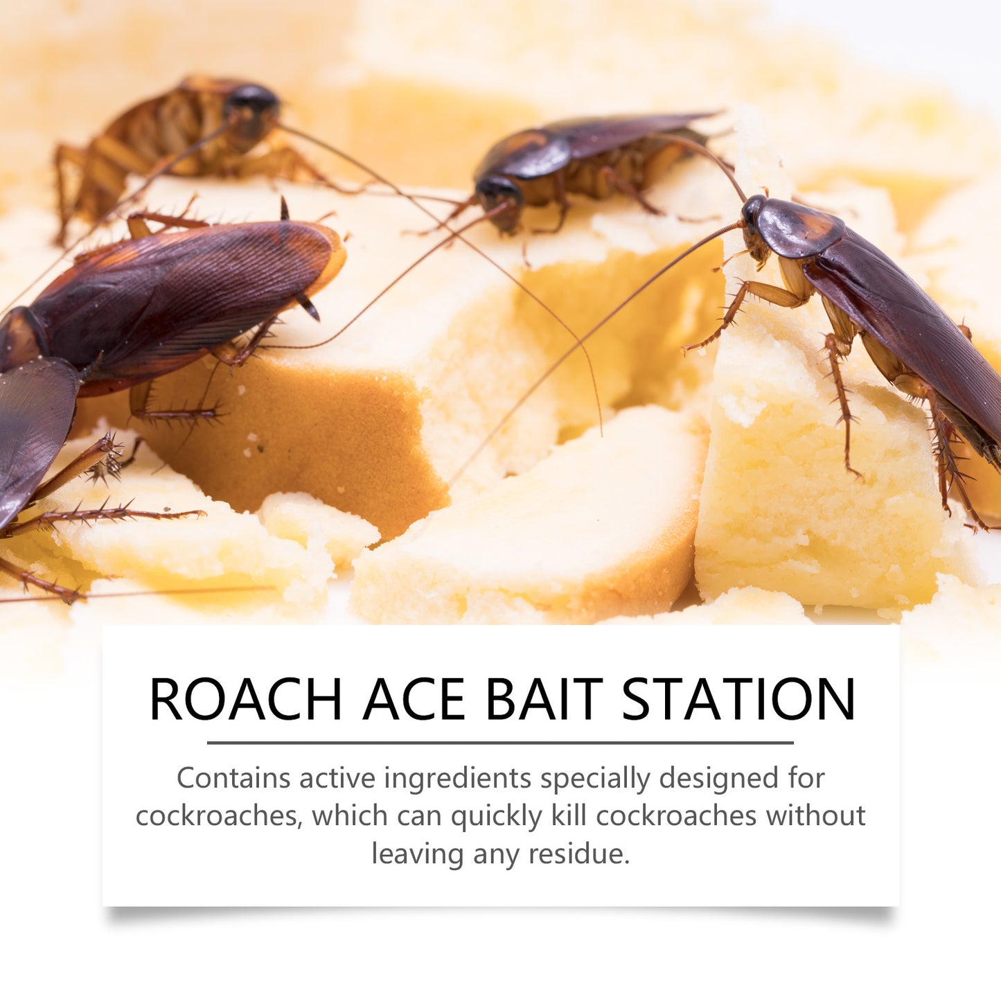 16 Pack Quick Catch Bait Station – Adhesive Indoor Roach Trap for Full Home Coverage