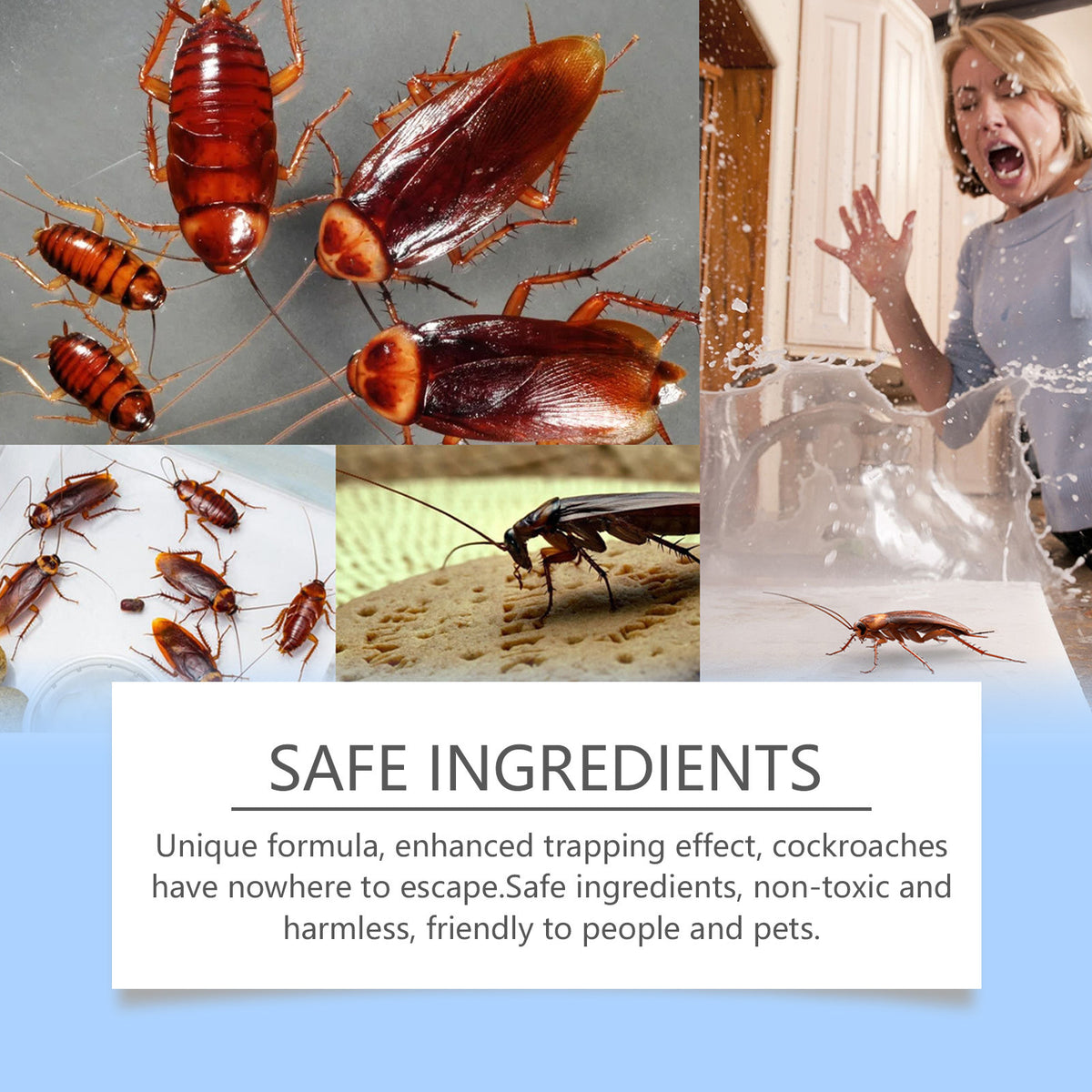 SHINEBOX cockroach bait stickers with safe ingredients for effective indoor roach control