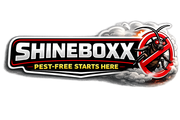 SHINEBOXX