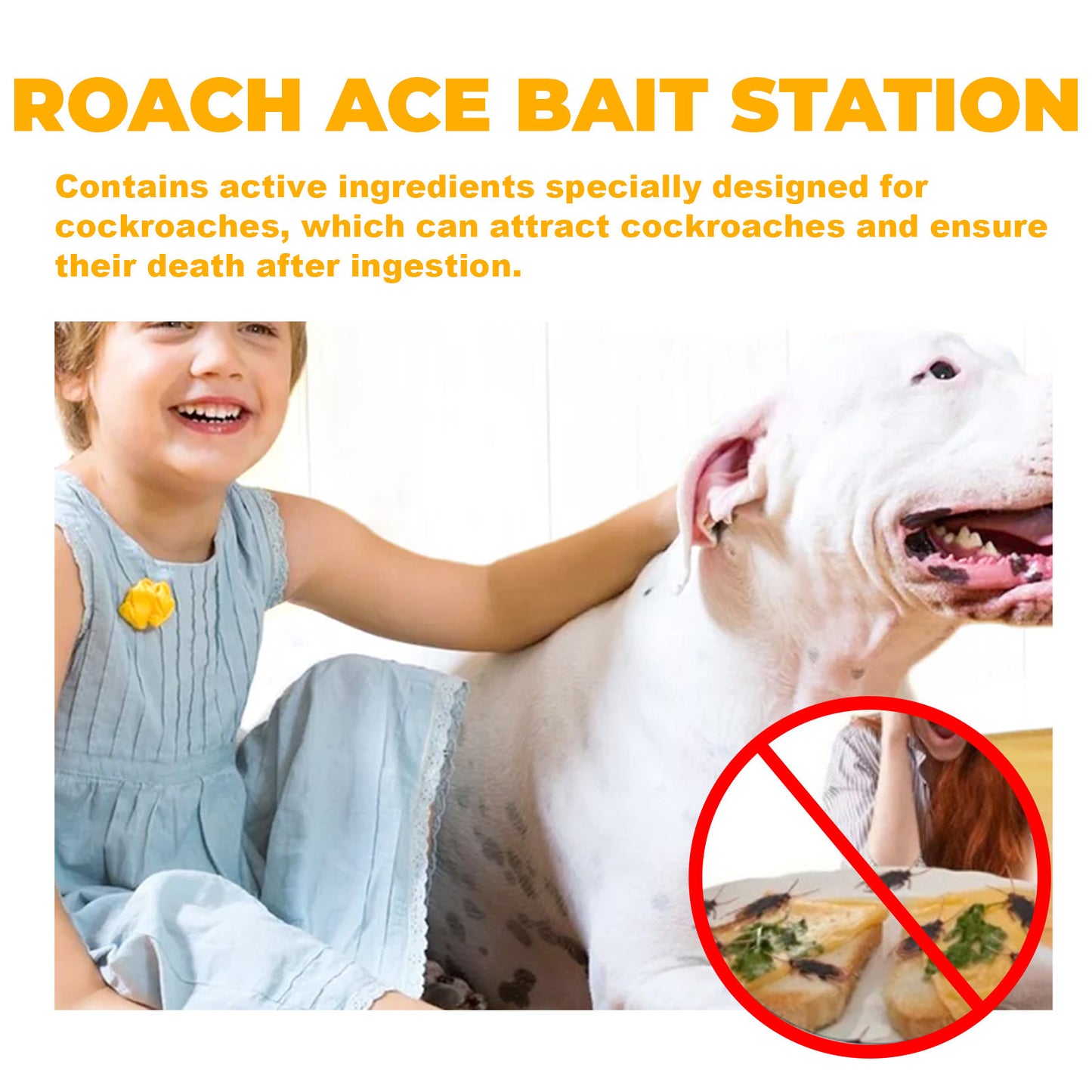 Roach Ace Bait Station for effective cockroach control with special ingredients for home use