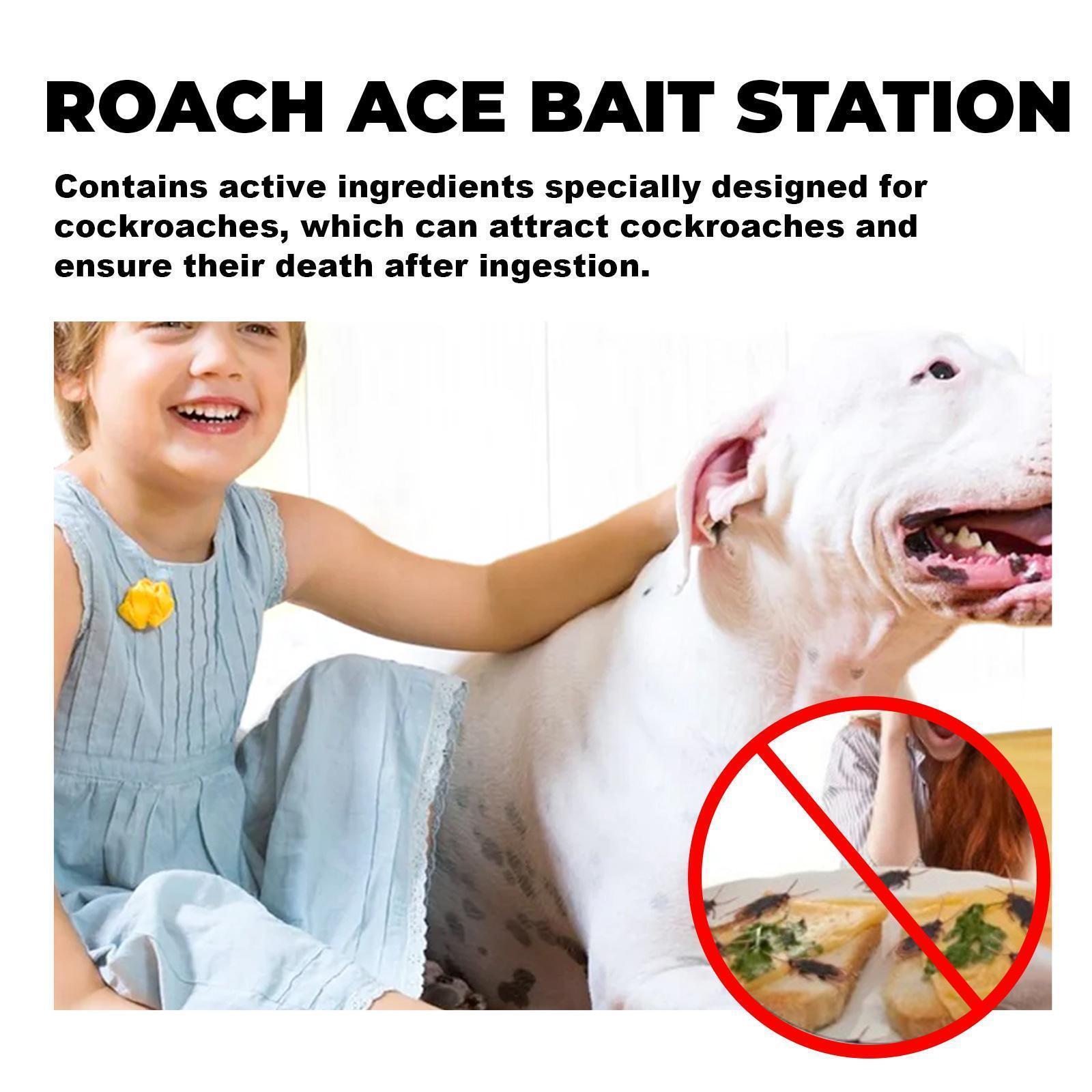SHINEBOX Quick Catch Cockroach killer Bait Station with effective ingredients for attracting and eliminating roaches