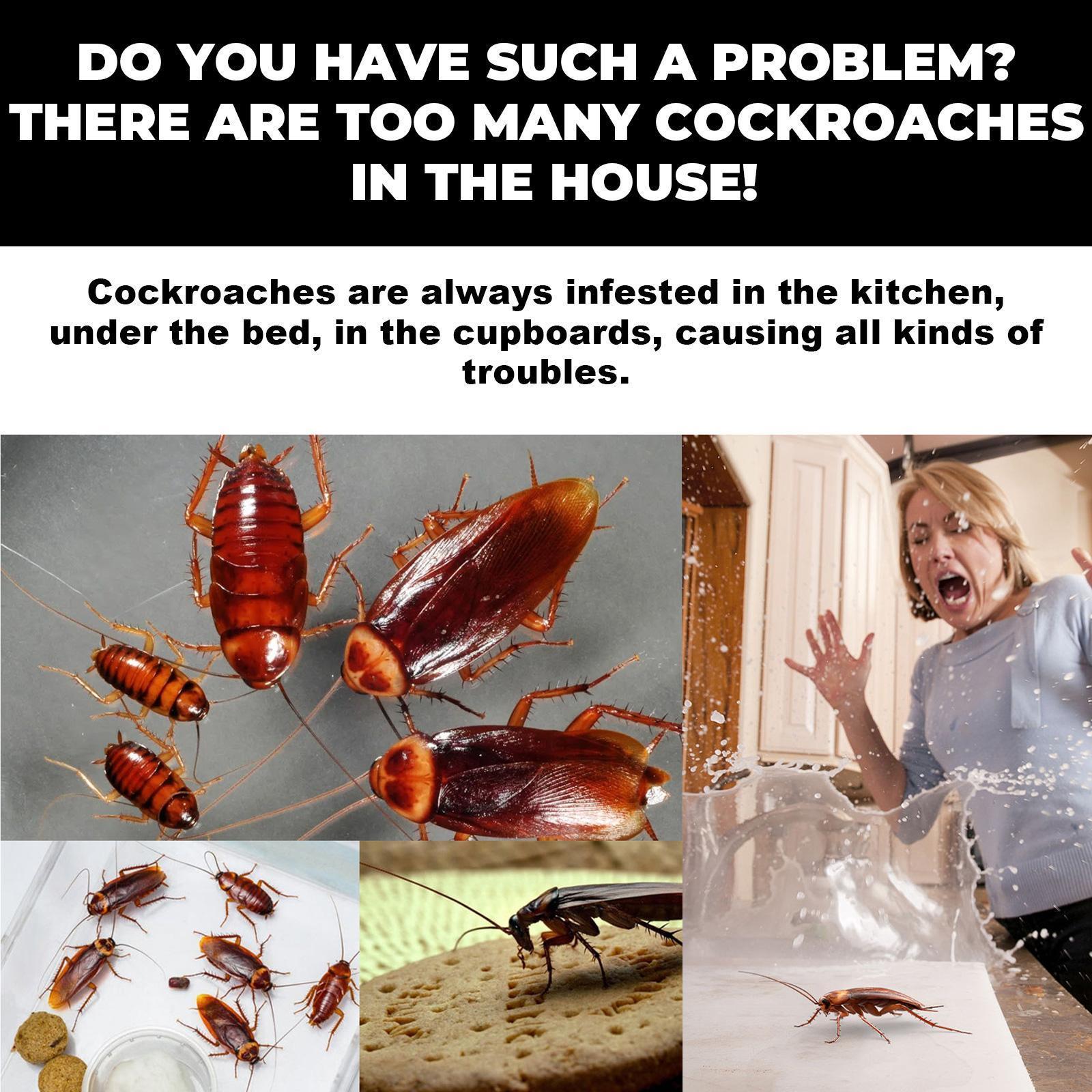 SHINEBOX Quick Catch Cockroach killer for effective pest control in your home