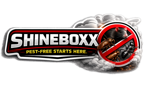 SHINEBOXX