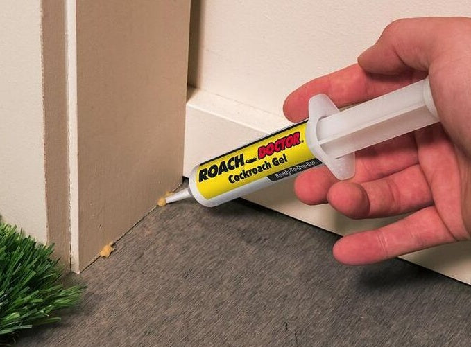 Roach Doctor Gel in syringe applicator — effective indoor cockroach extermination solution. doctor roach gel