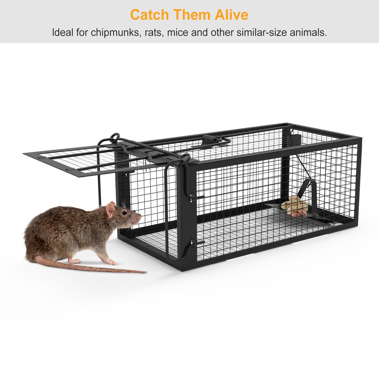 SHINEBOXX rodent rat trap for humane capture of rats and similar-sized animals