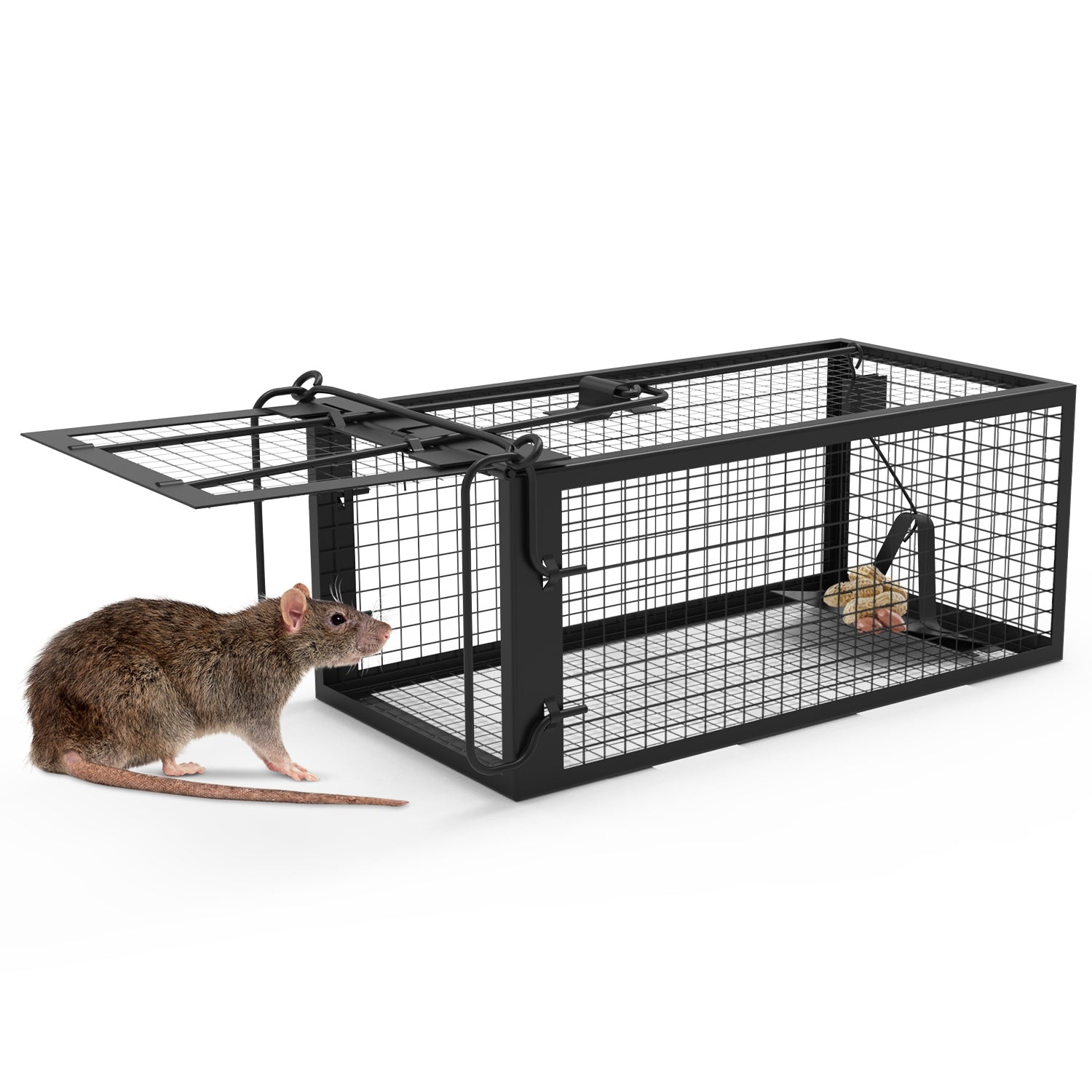 SHINEBOXX rodent rat trap — humane live catch trap for safe rodent control