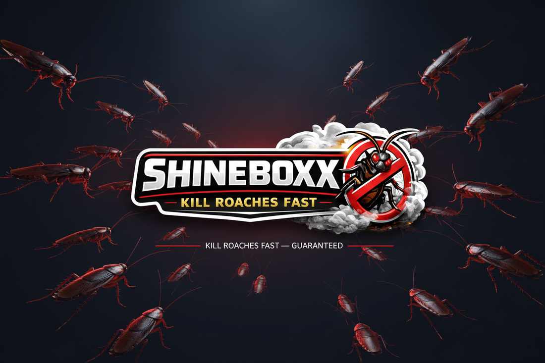 SHINEBOXX Banner - Kill Roaches Fast