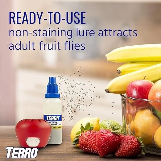 SHINEBOX indoor fruit fly trap featuring a ready-to-use non-staining lure for effective fly attraction