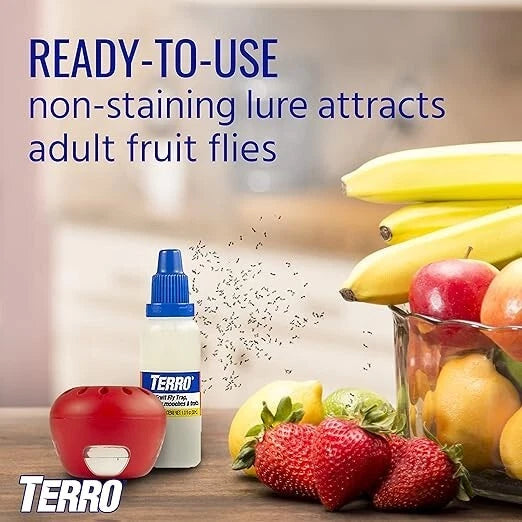 SHINEBOX indoor fruit fly trap with ready-to-use lure next to colorful fruits on a kitchen counter