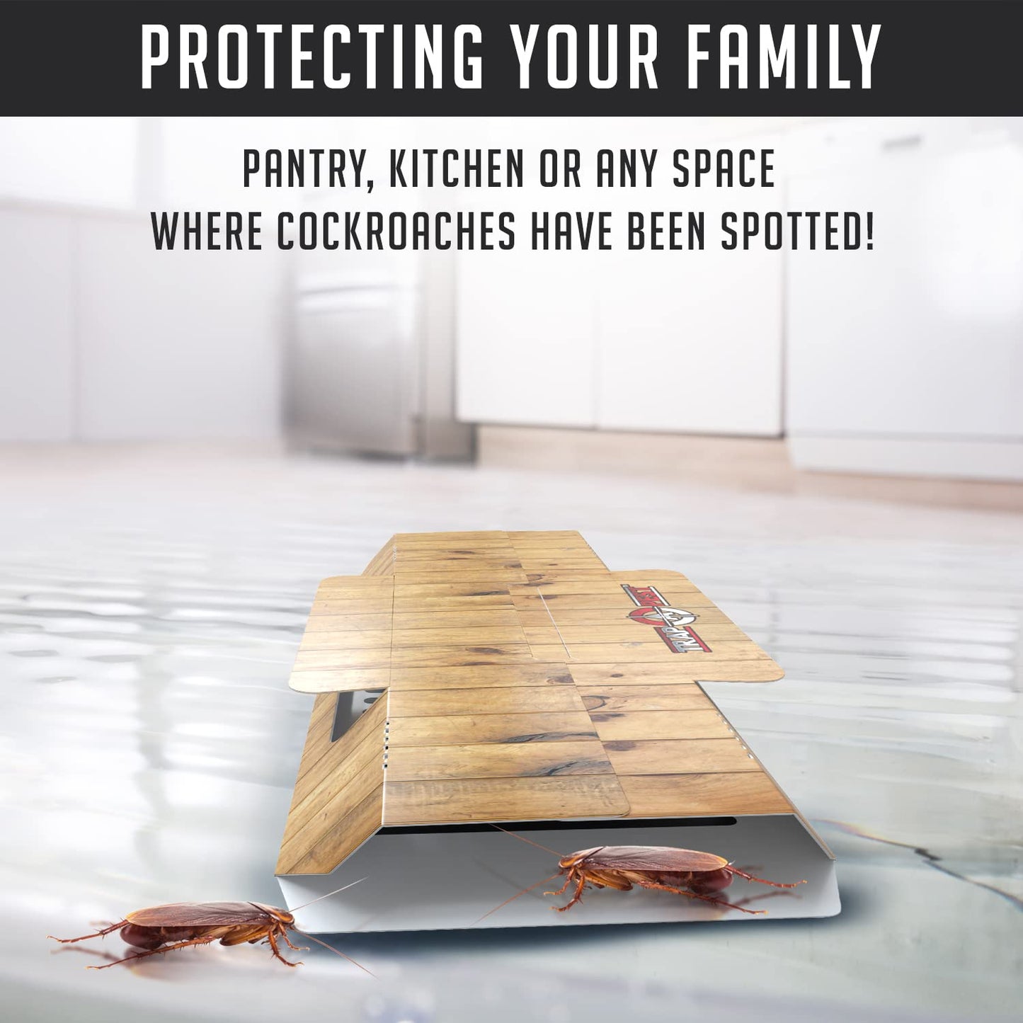 SHINEBOX roach motel gif for effective cockroach control in kitchens and pantries